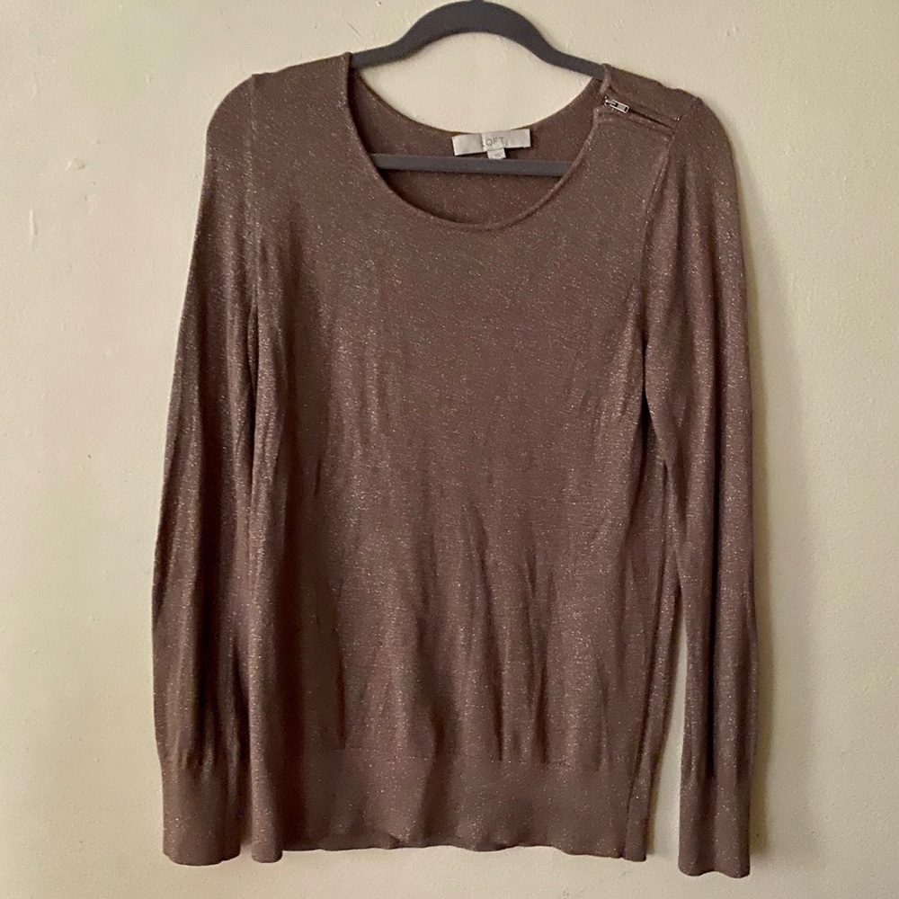 Ann Taylor LOFT Light Brown/ Gold Sweatshirt